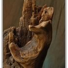 Wooden Hand