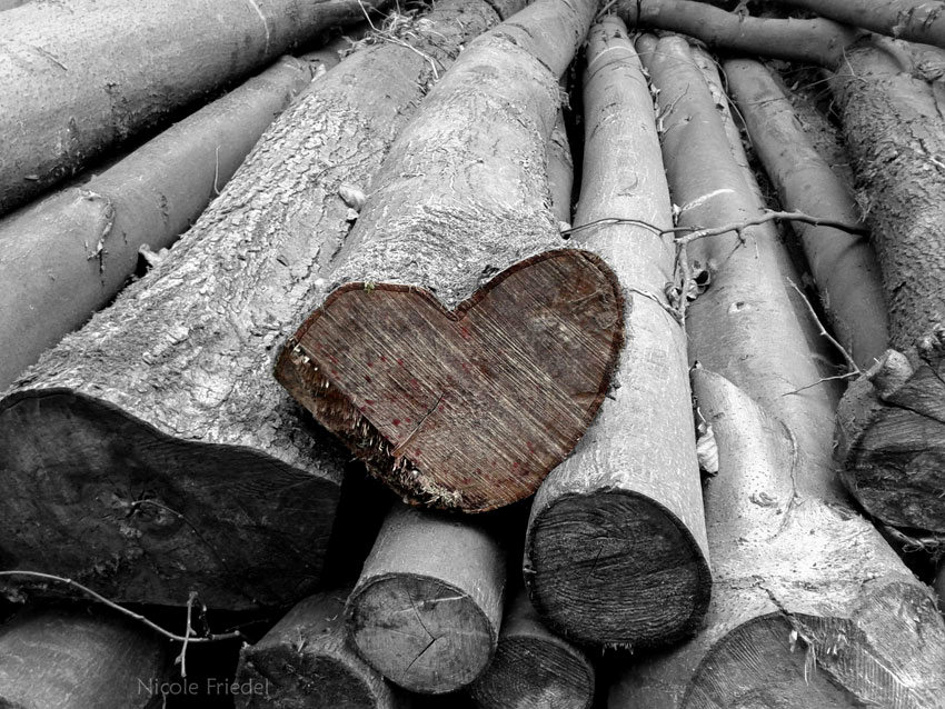 wooden heart