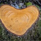 Wooden Heart