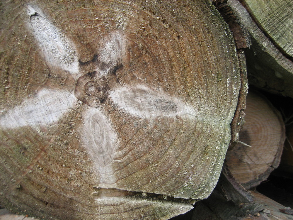 Wooden Heart