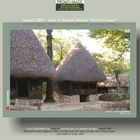 wooden houses with roofs of straw