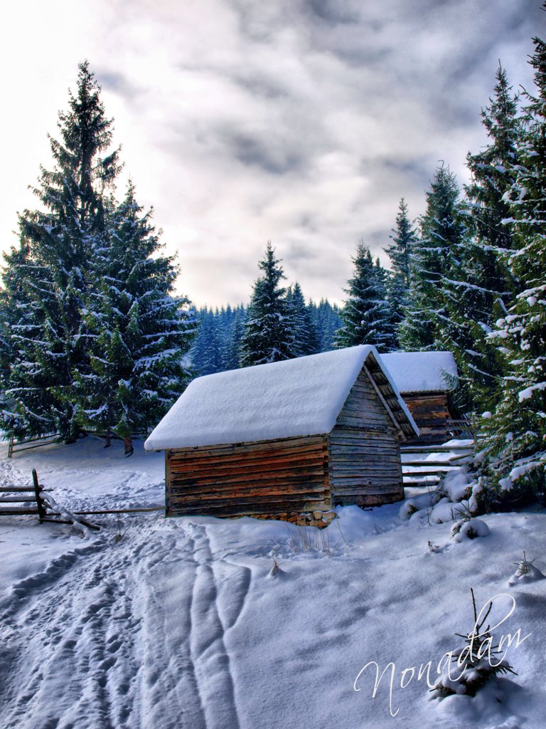 Wooden hut