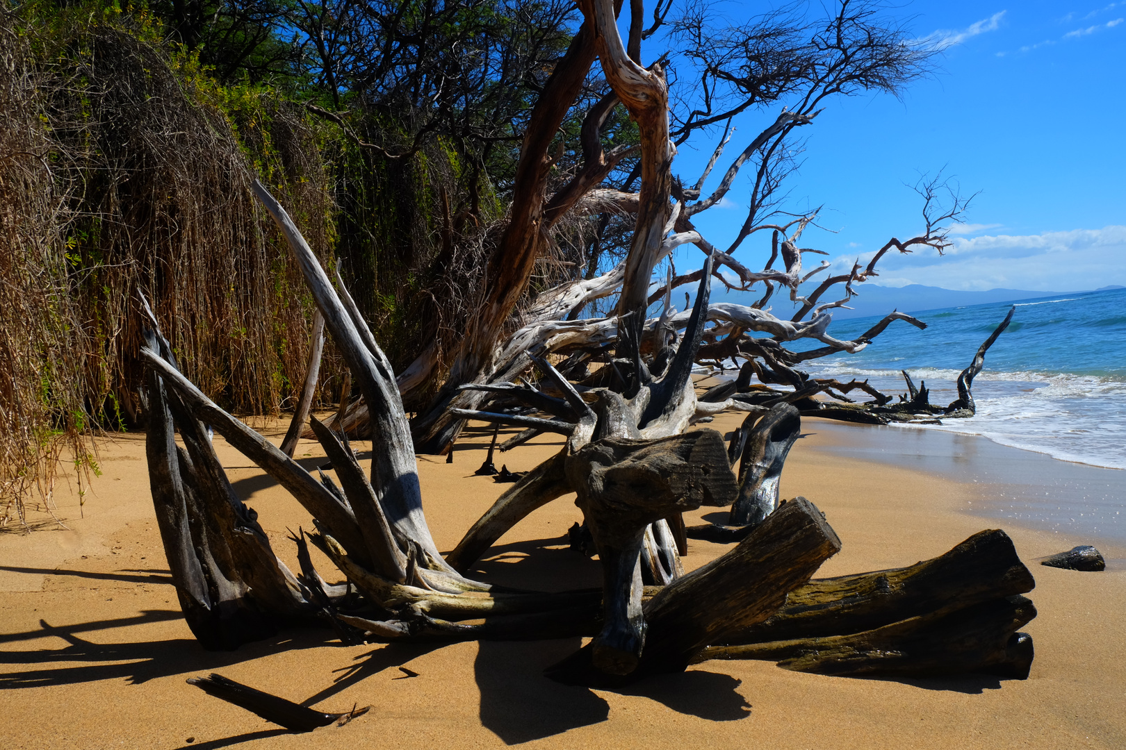 Wooden on beach