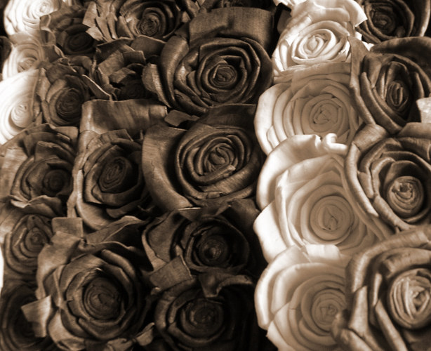 Wooden Roses