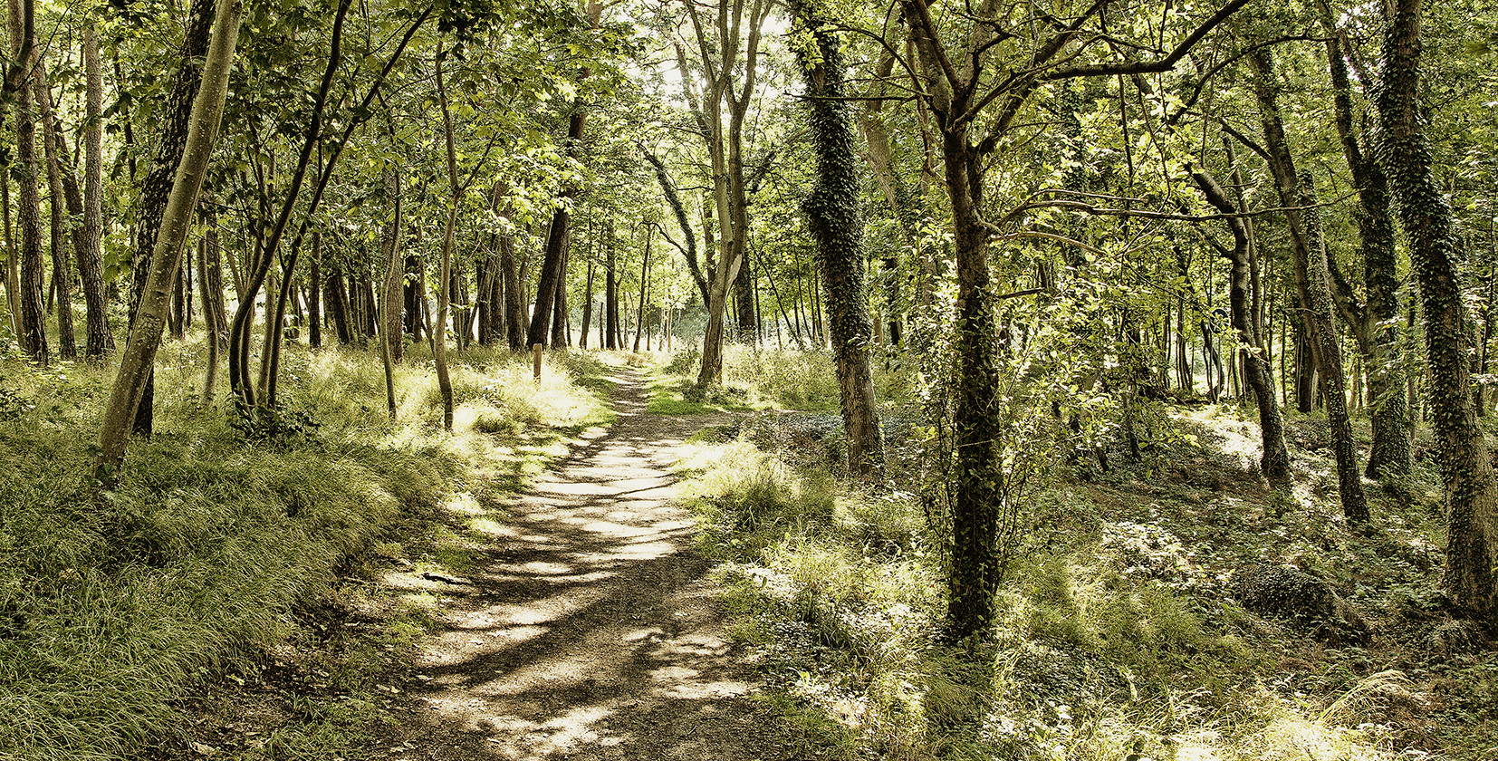 wooden runway