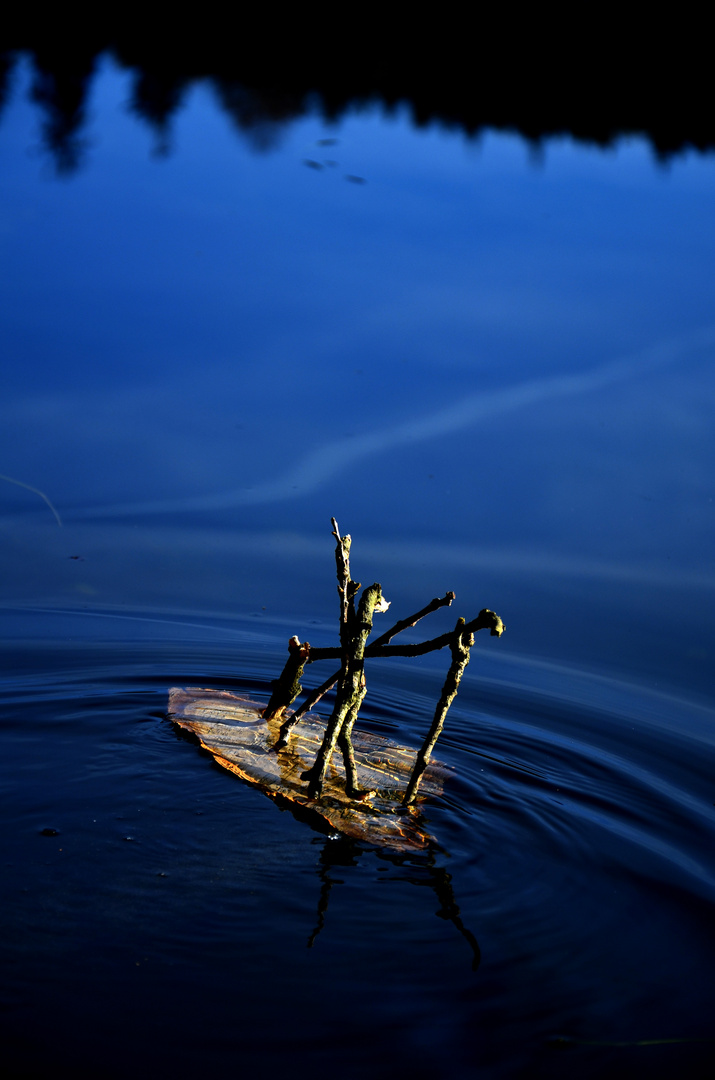 wooden ship on the water