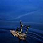 wooden ship on the water