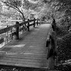 Wooden Walkway