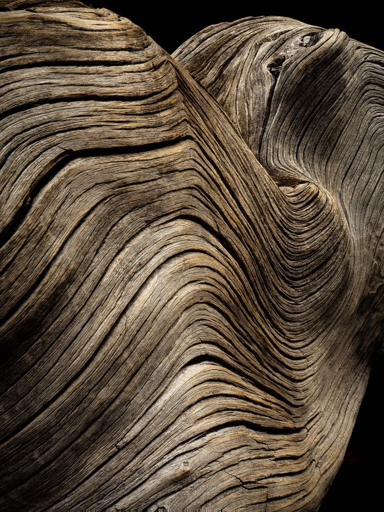 Wooden Wave