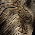 Wooden Wave