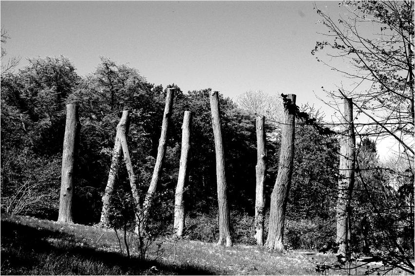 °woodhenge