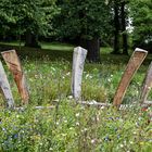 Woodhenge?