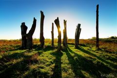 Woodhenge