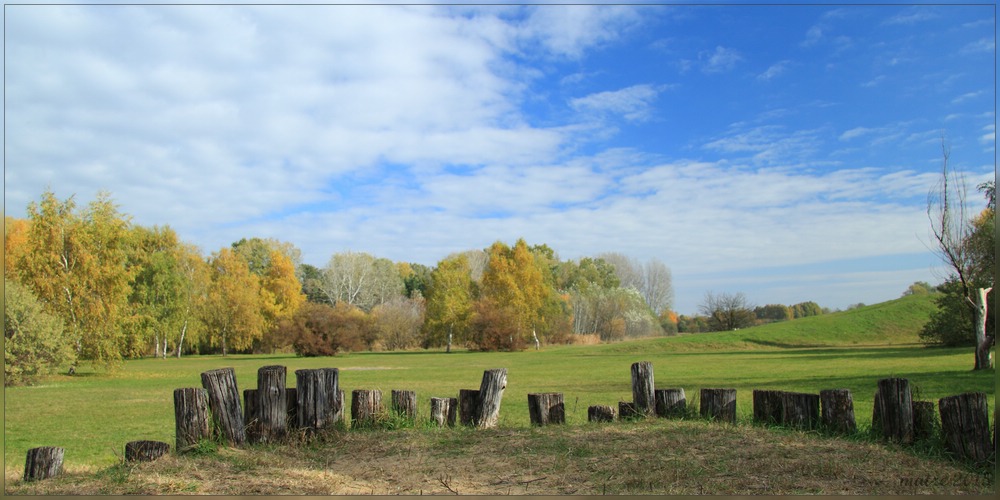 ~ Woodhenge ~