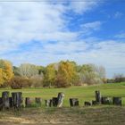 ~ Woodhenge ~