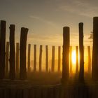 Woodhenge in der Elbtalaue