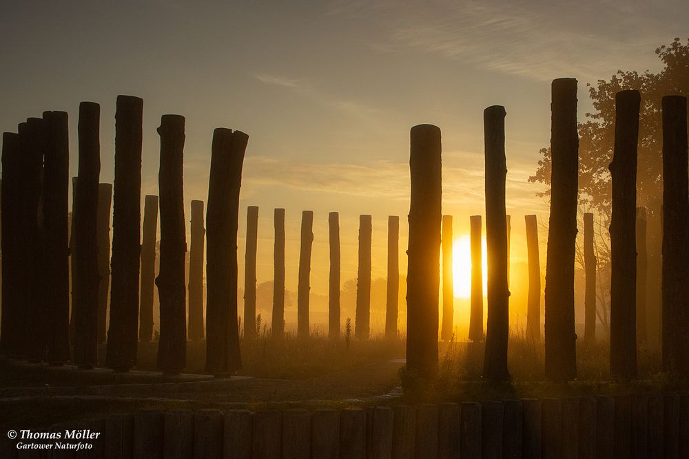 Woodhenge in der Elbtalaue