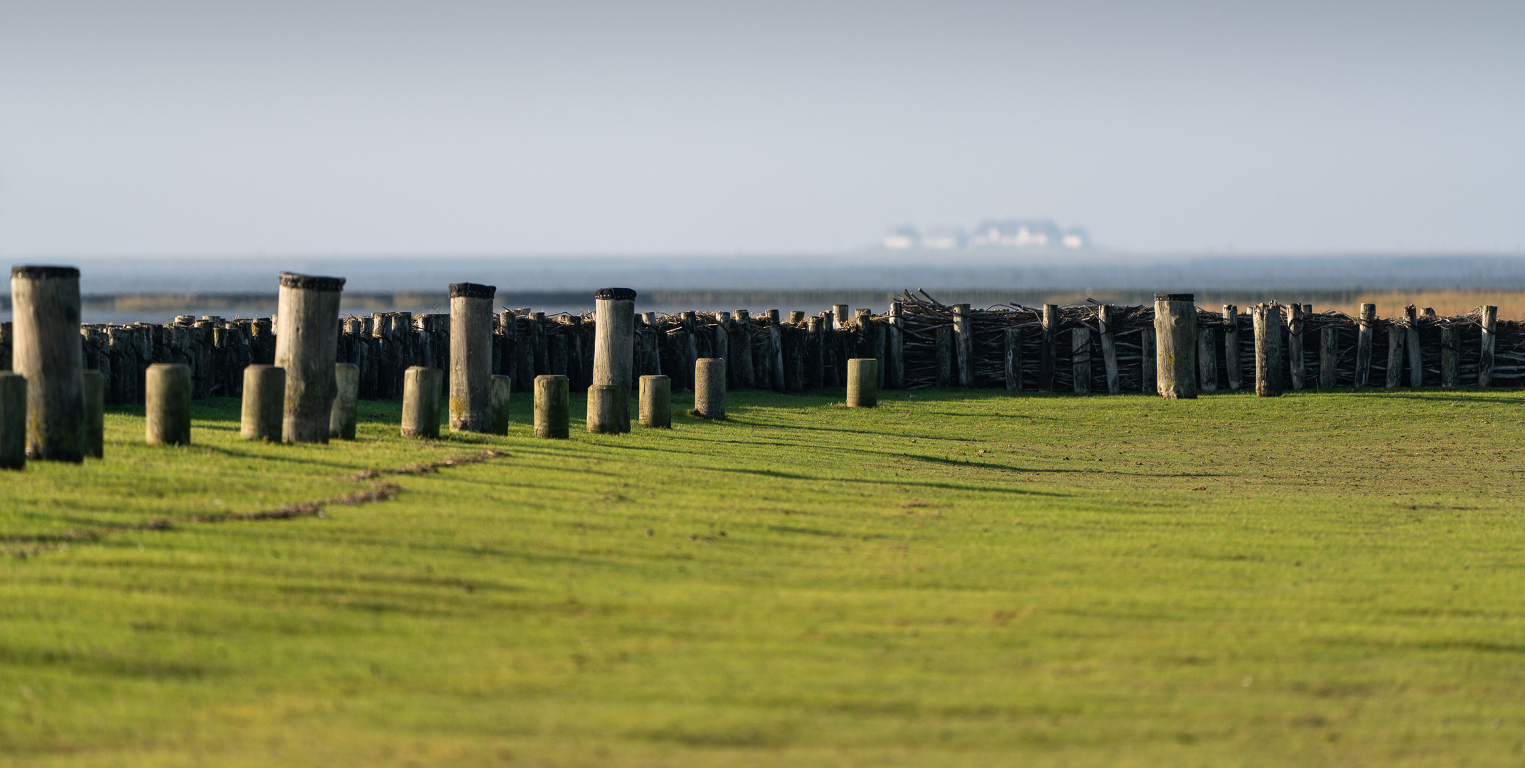 Woodhenge oder: Hamburger Hallig im Dunst