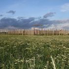 Woodhenge Pömmelte - Ringheiligtum Pömmelte, Saxony-Anhalt, Germany