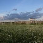 Woodhenge Pömmelte - Ringheiligtum Pömmelte, Saxony-Anhalt, Germany