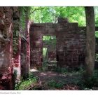 Woodland Ruins No.1 (F11 for best viewing)