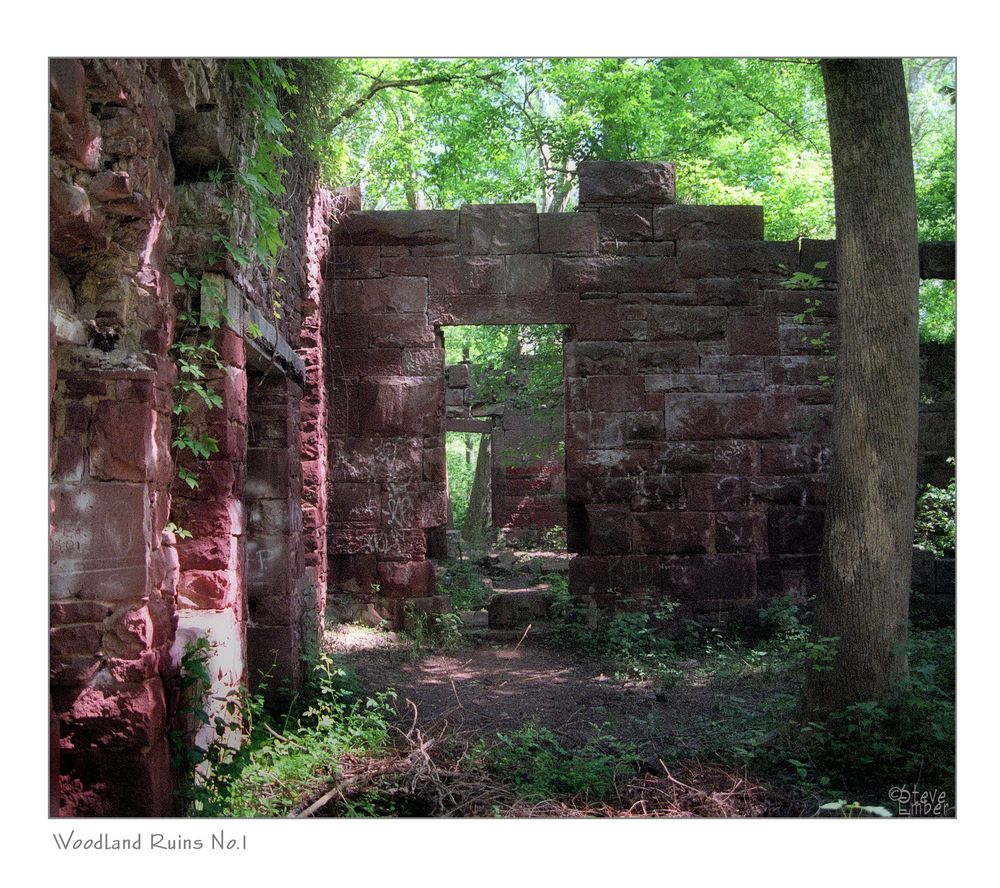 Woodland Ruins No.1 (F11 for best viewing)