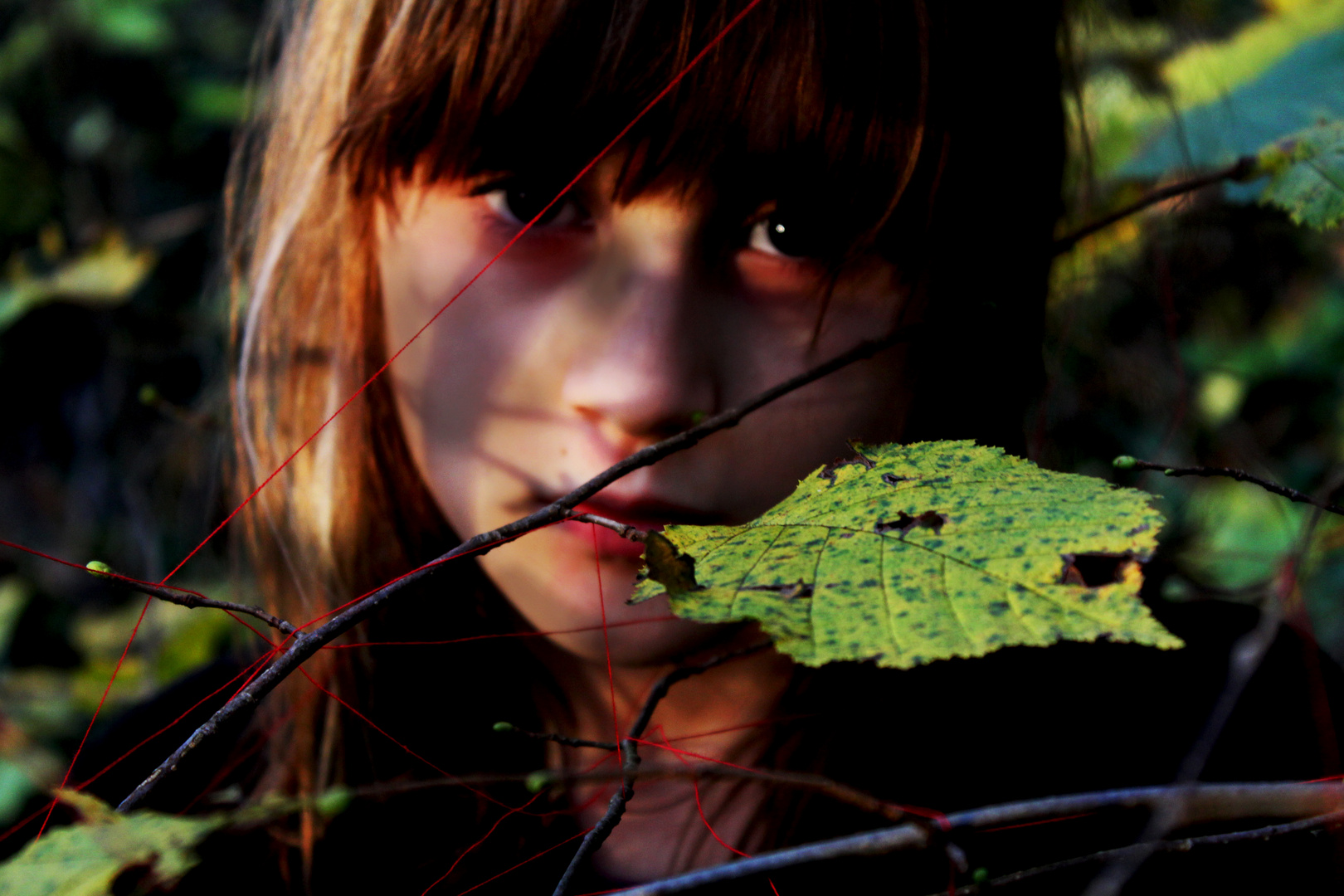 Woods. Red. Child.