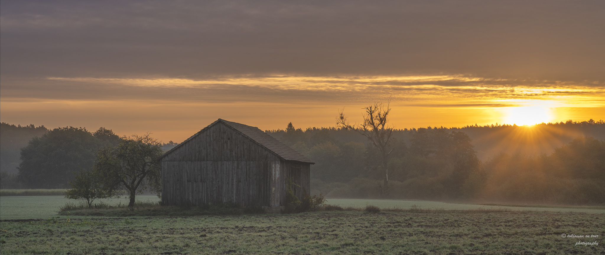 woodshed in a field 