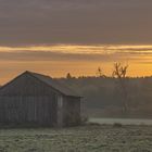 woodshed in a field 