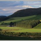 Woodside farm in the cheviot Hills evening 4