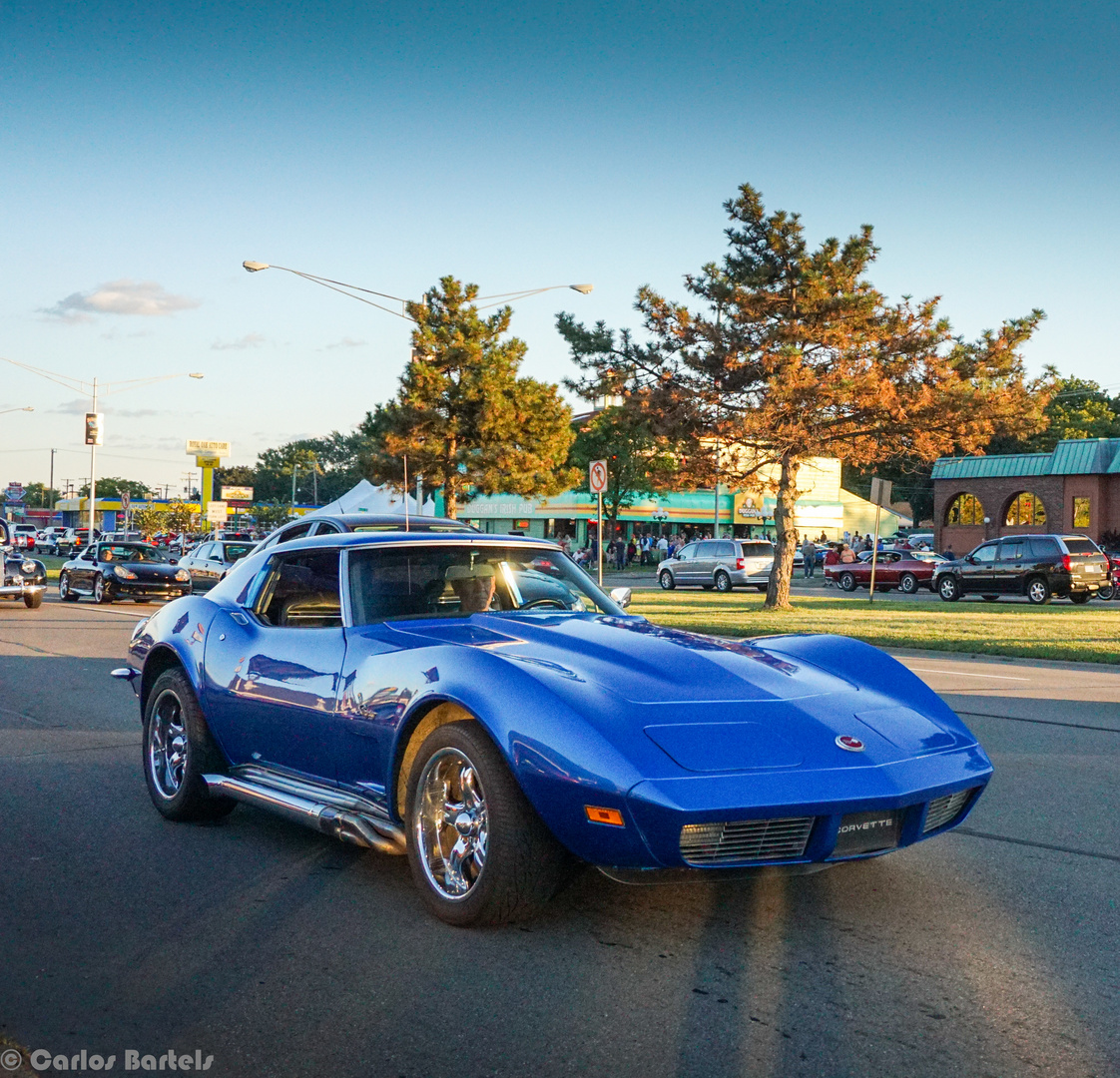 Woodward Dream Cruise V