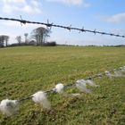 Woolly wire