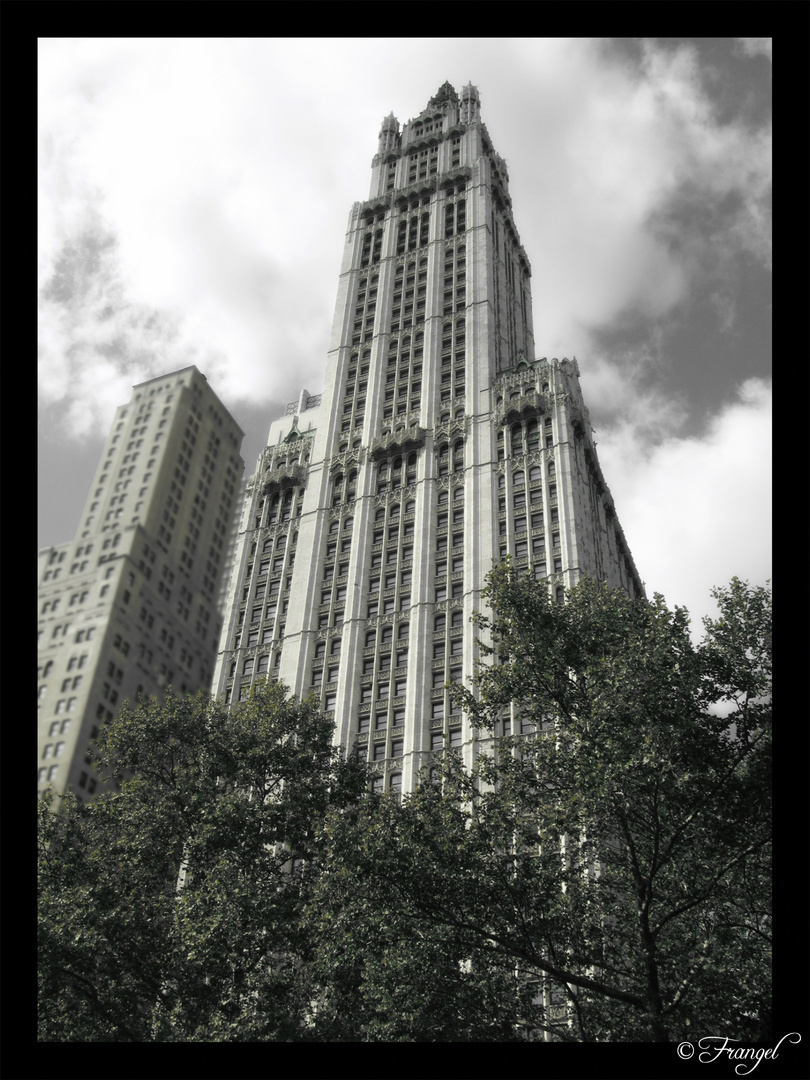 Woolworth Building