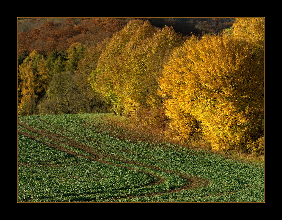 ...worauf der Bauer vom Lande nicht achtet... - (1. von "Herbst-Licht und -Schatten")