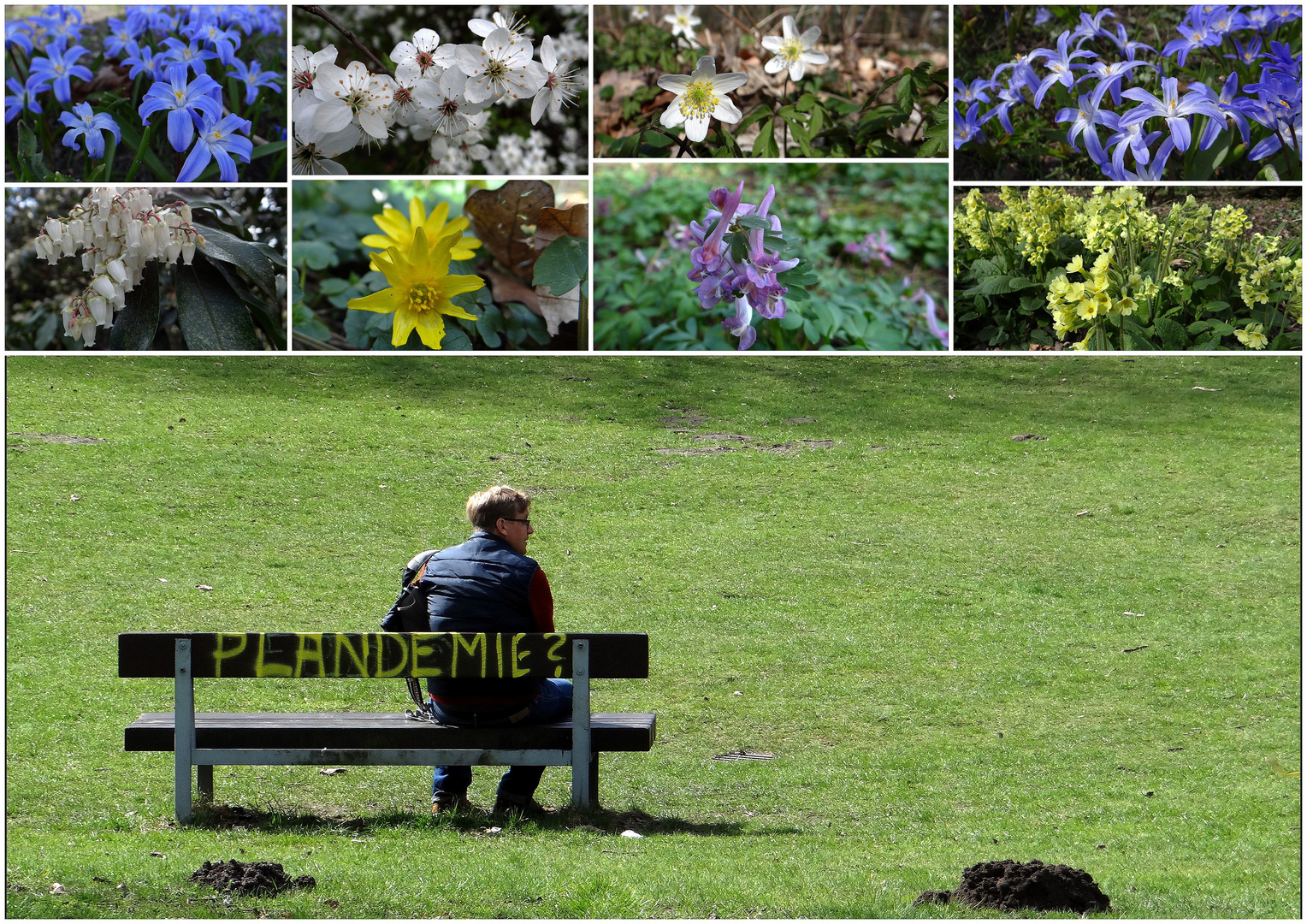 worauf noch warten...der Frühling ist da...;)