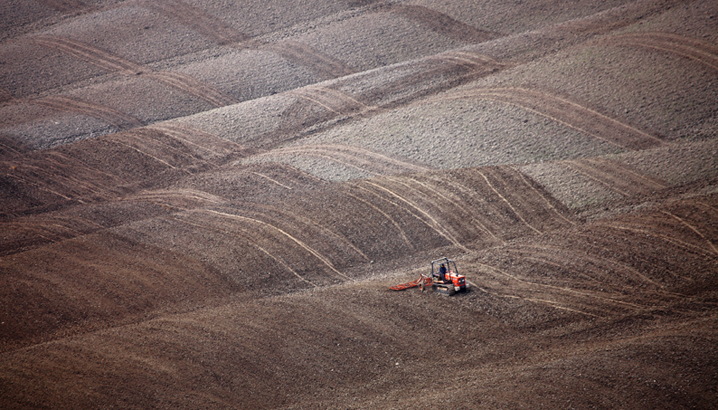 Work in the fields 1