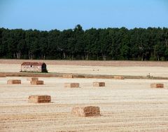 work in the fields