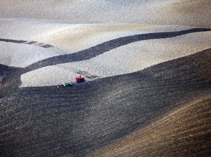 Work in the fields 3