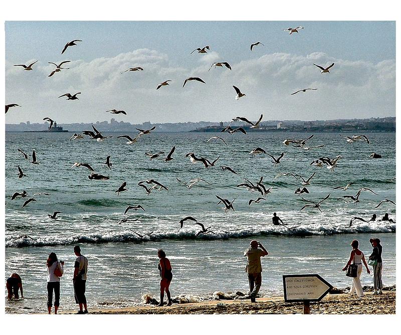 Work is over Costa de Caparica Portugal