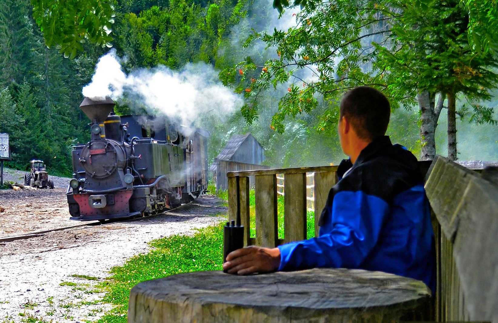 Work on Vaser Valley - Steam Train and man - by Daniel Andreica