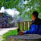 Work on Vaser Valley - Steam Train and man - by Daniel Andreica