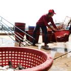 working at the jetty in Phuket.