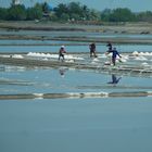 Working at the salt field