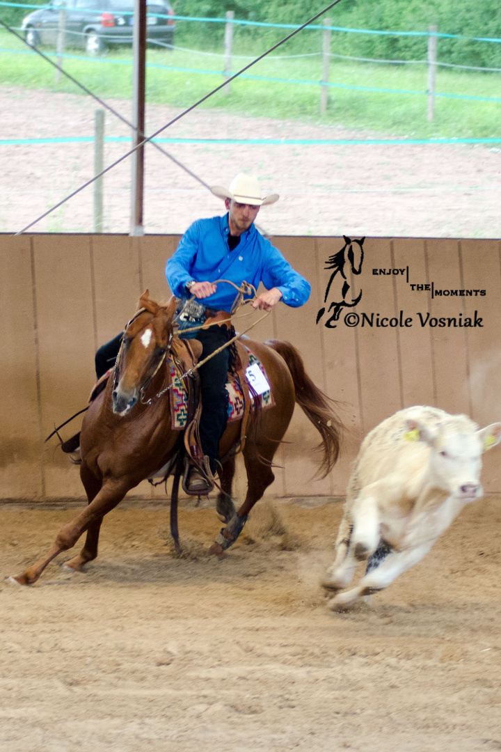 Working Cowhorse