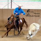 Working Cowhorse