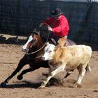 Working Cowhorse