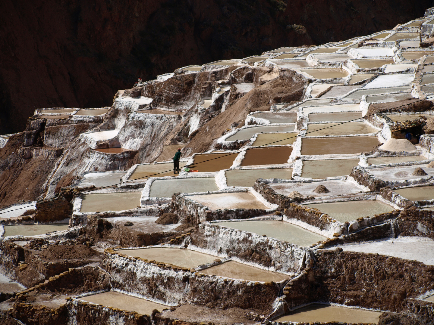 Working day. Peru