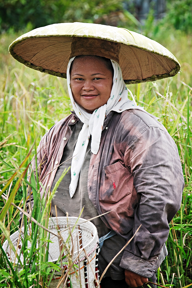 Working for Rice Borneo