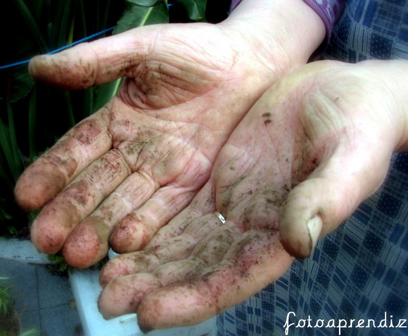 working hands