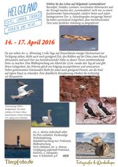 Workshop auf Helgoland